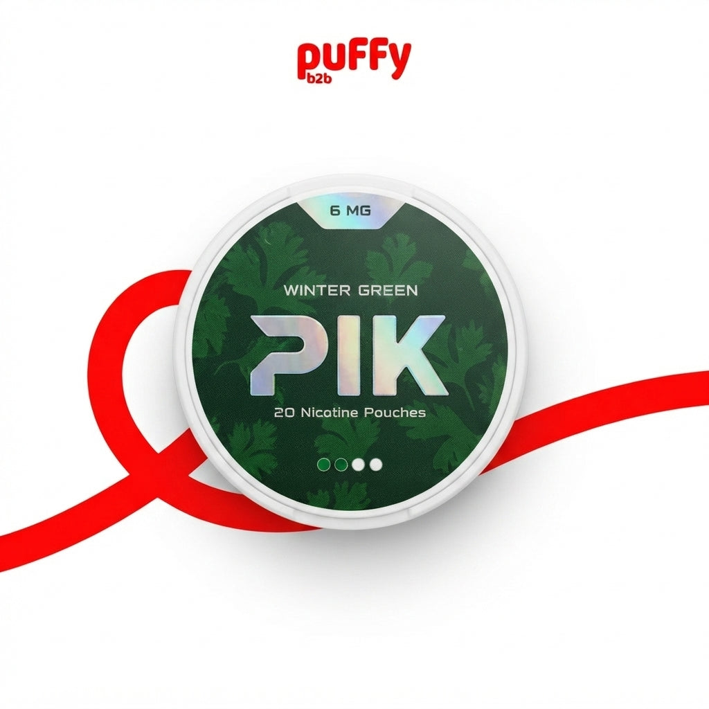 علبة أكياس نيكوتين بيك نكهة وينتر جرين 6 ملجم - PIK Winter Green Nicotine Pouches 6mg